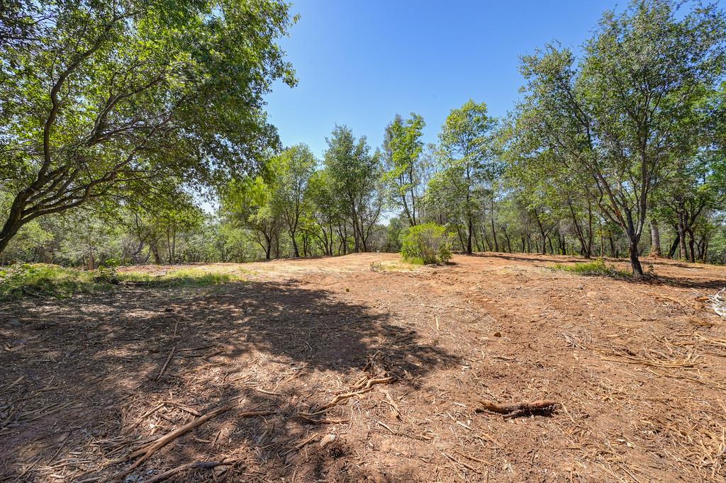 10650 Werner Road Auburn, CA 95603 - Photo 15 of 50 a view of outdoor space with trees