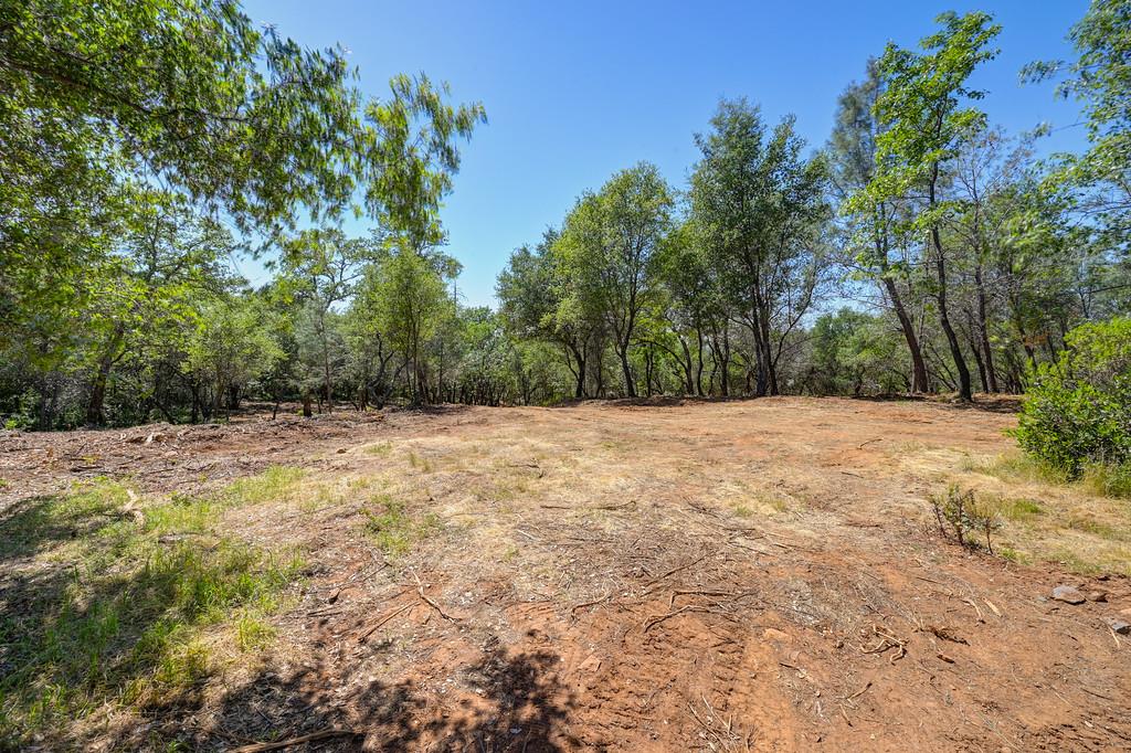 10650 Werner Road Auburn, CA 95603 - Photo 16 of 50 a view of backyard with green space
