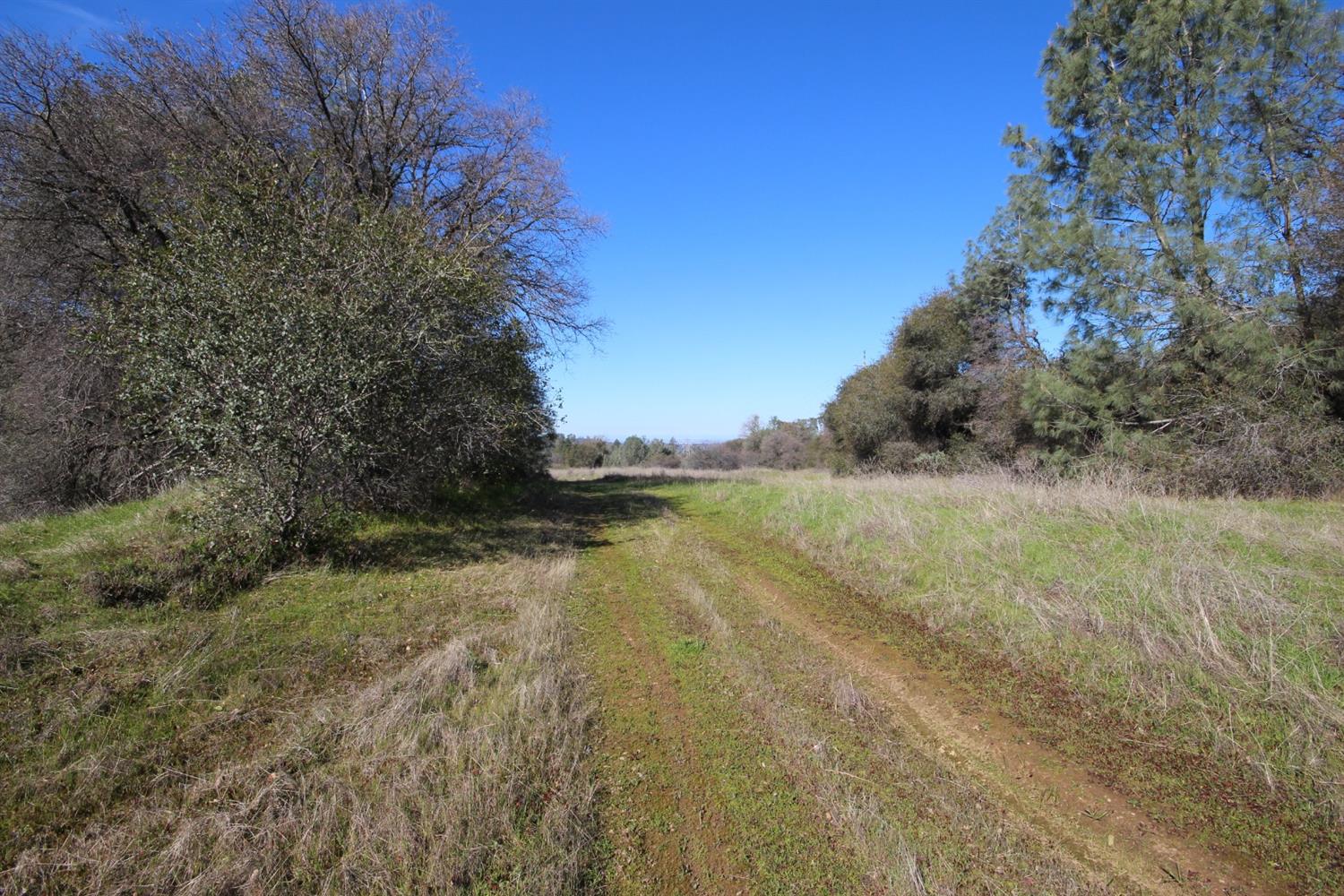10650 Werner Road Auburn, CA 95603 - Photo 18 of 50 a view of lake with green space