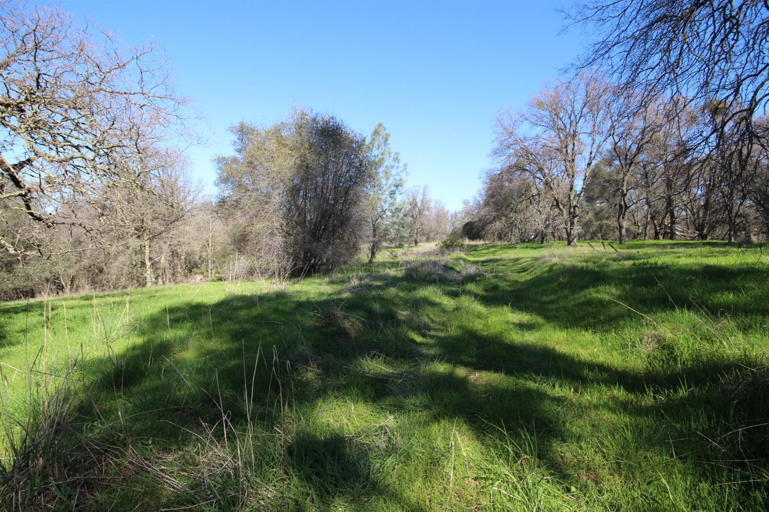 10650 Werner Road Auburn, CA 95603 - Photo 20 of 50 a view of a lush green space