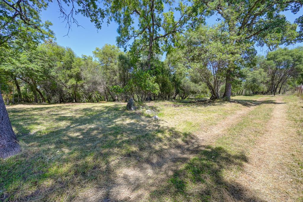 10650 Werner Road Auburn, CA 95603 - Photo 2 of 50 a view of a yard with a tree