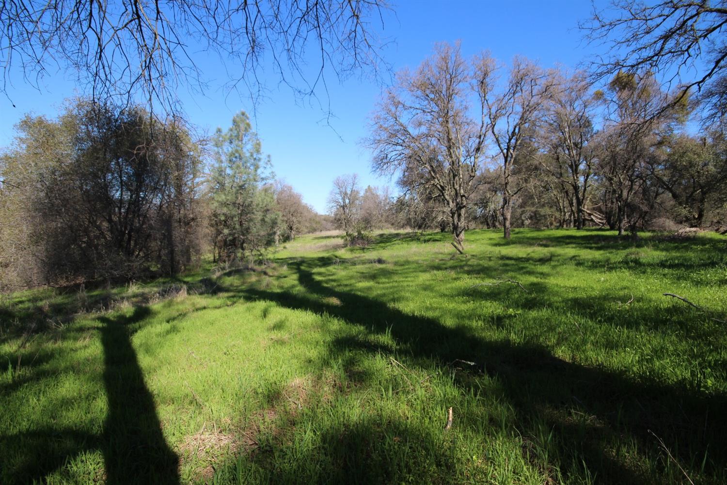 10650 Werner Road Auburn, CA 95603 - Photo 22 of 50