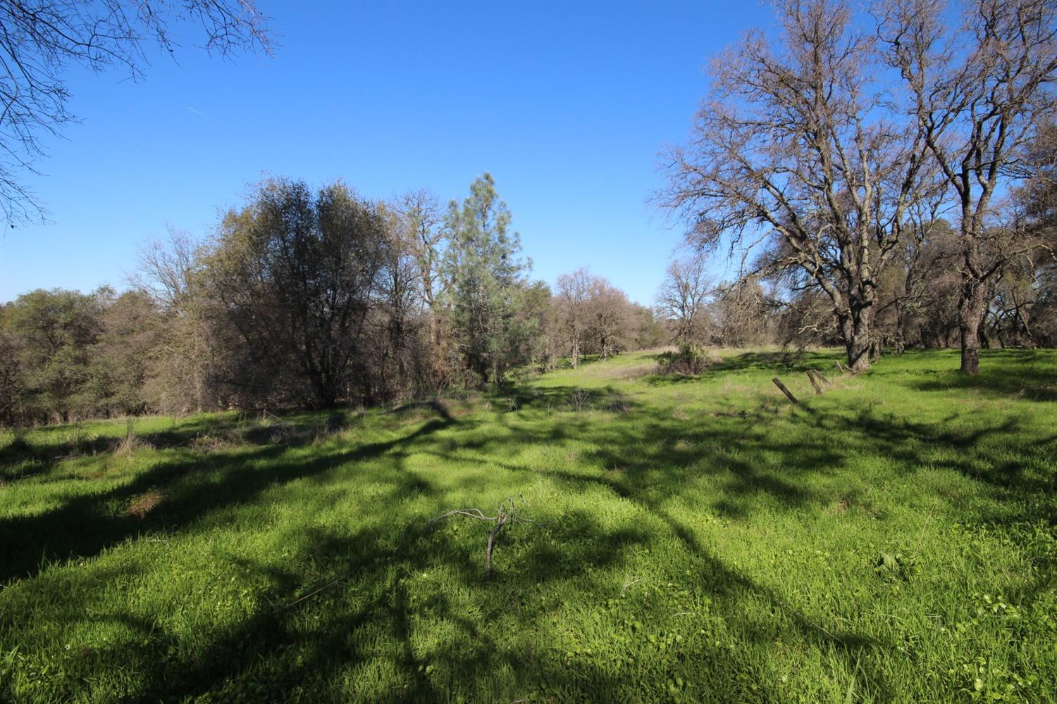 10650 Werner Road Auburn, CA 95603 - Photo 23 of 50 a view of a grassy field with trees