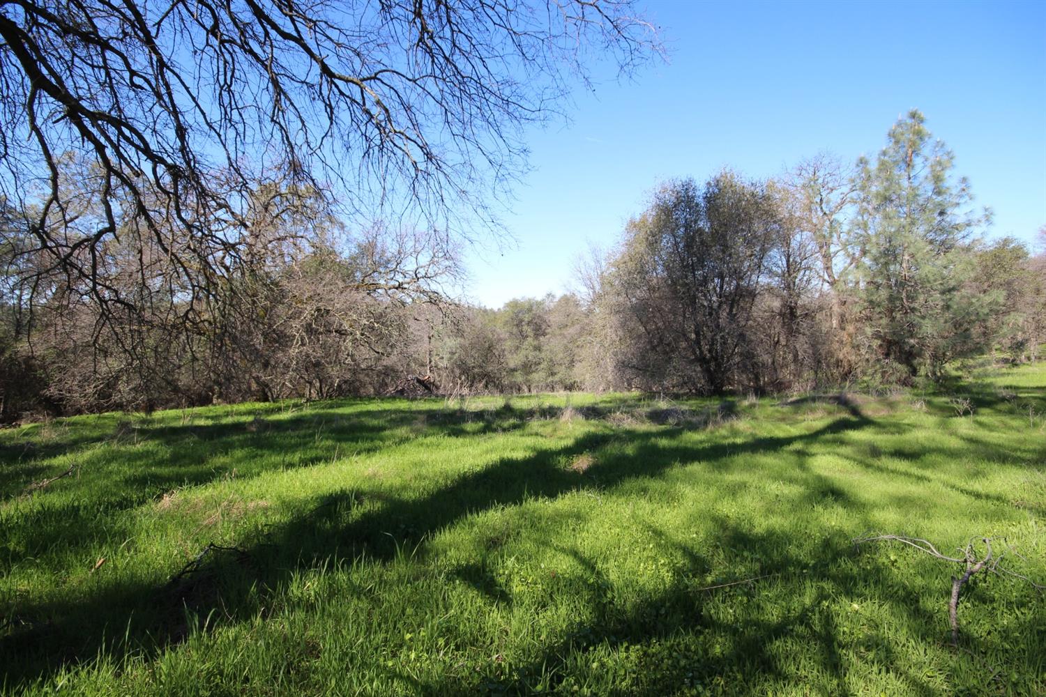 10650 Werner Road Auburn, CA 95603 - Photo 24 of 50 a view of a lush green space