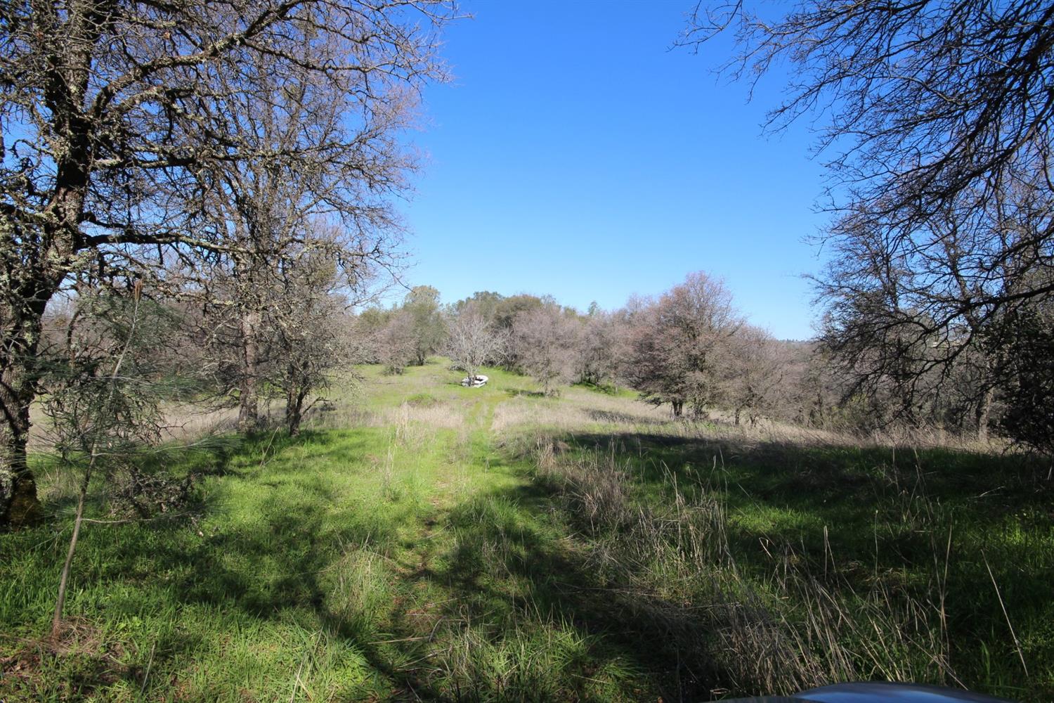 10650 Werner Road Auburn, CA 95603 - Photo 25 of 50 a view of a lush green space