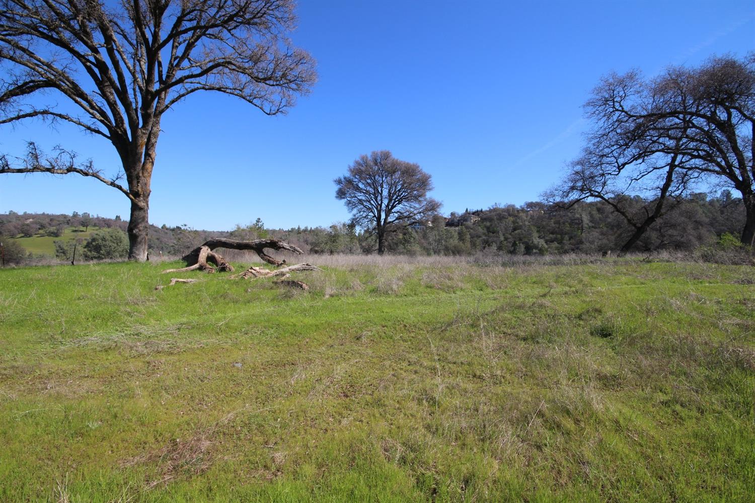 10650 Werner Road Auburn, CA 95603 - Photo 29 of 50 a view of a garden