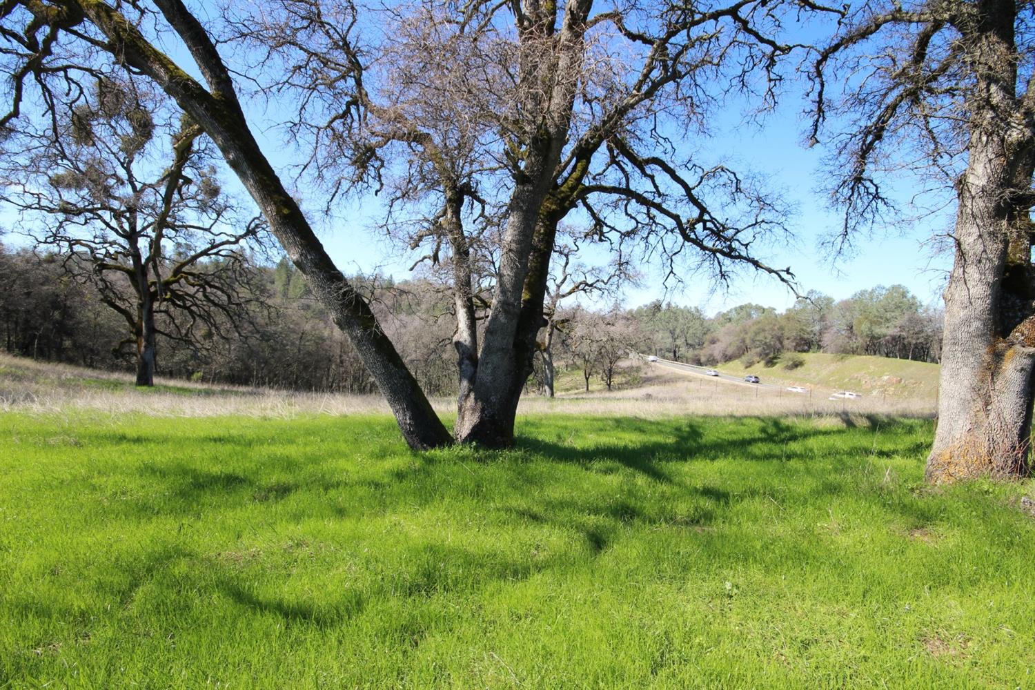 10650 Werner Road Auburn, CA 95603 - Photo 31 of 50 a view of a trees with a yard