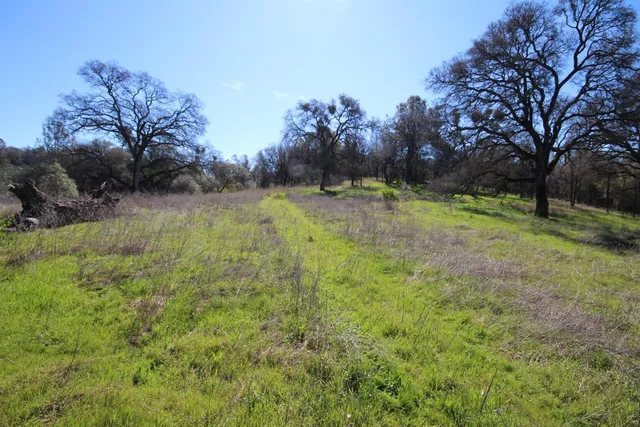 a view of backyard with green space