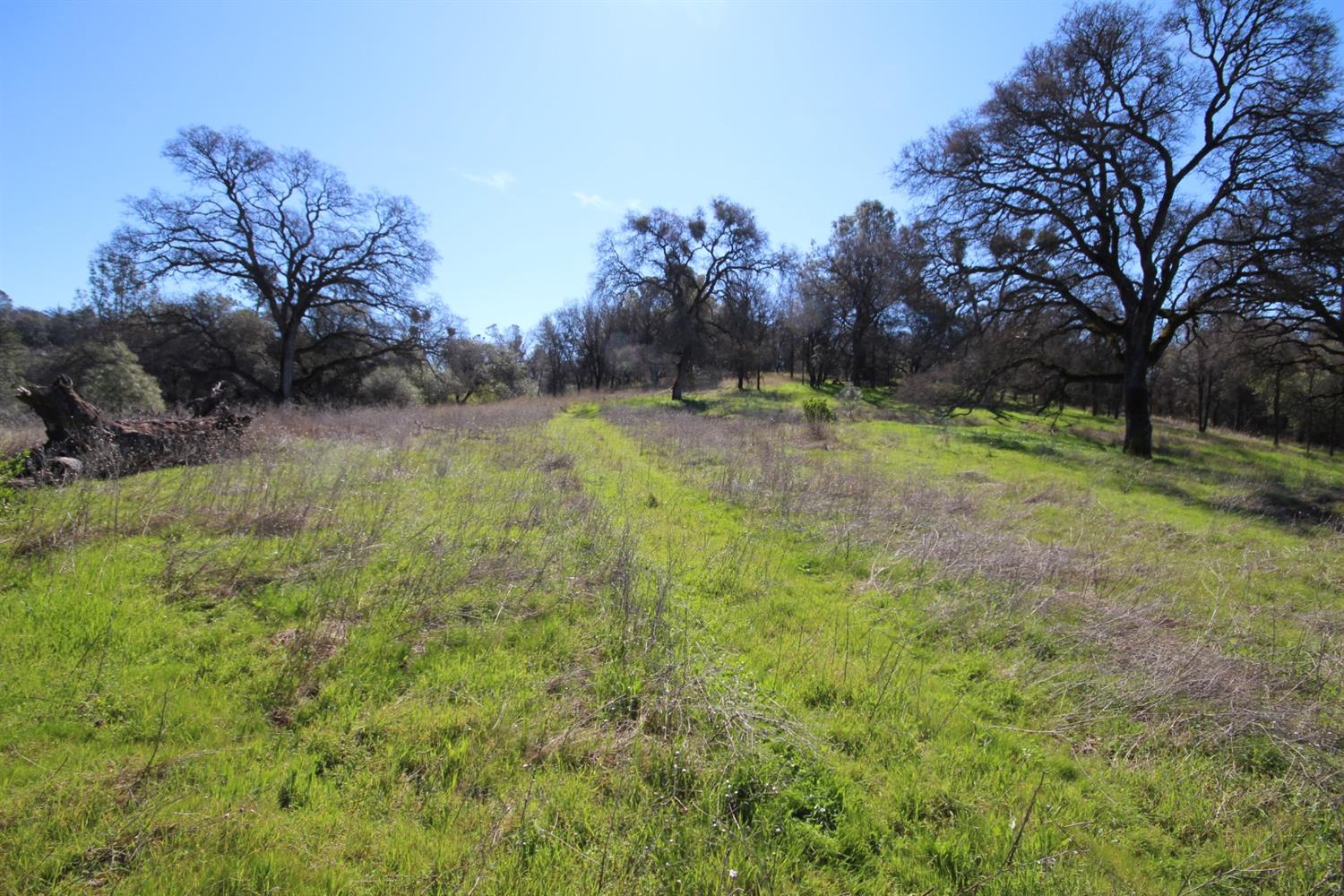 10650 Werner Road Auburn, CA 95603 - Photo 33 of 50 a backyard of a house with lots of green space