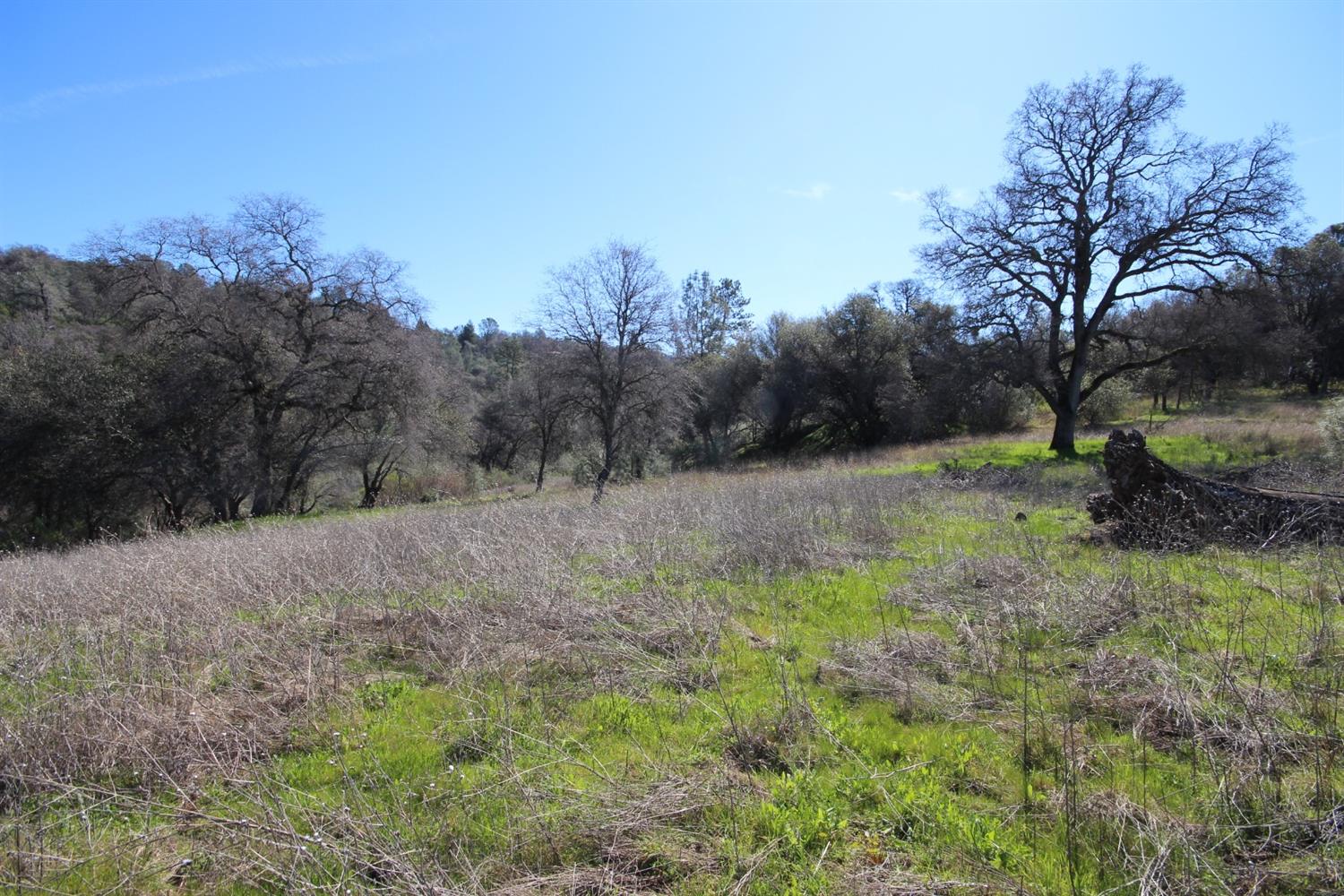 10650 Werner Road Auburn, CA 95603 - Photo 34 of 50 a view of backyard with green space