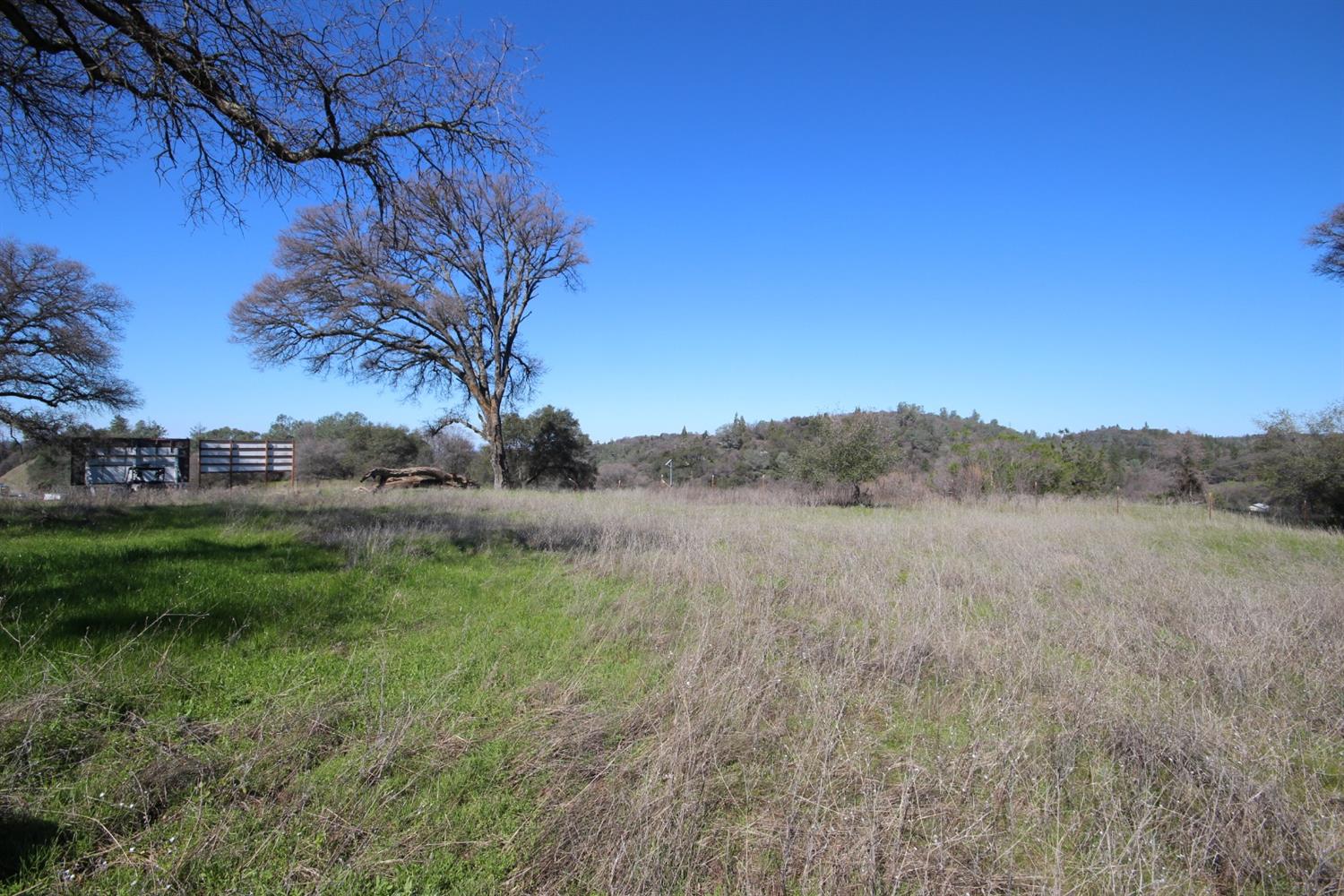 10650 Werner Road Auburn, CA 95603 - Photo 35 of 50 a view of a yard with a tree