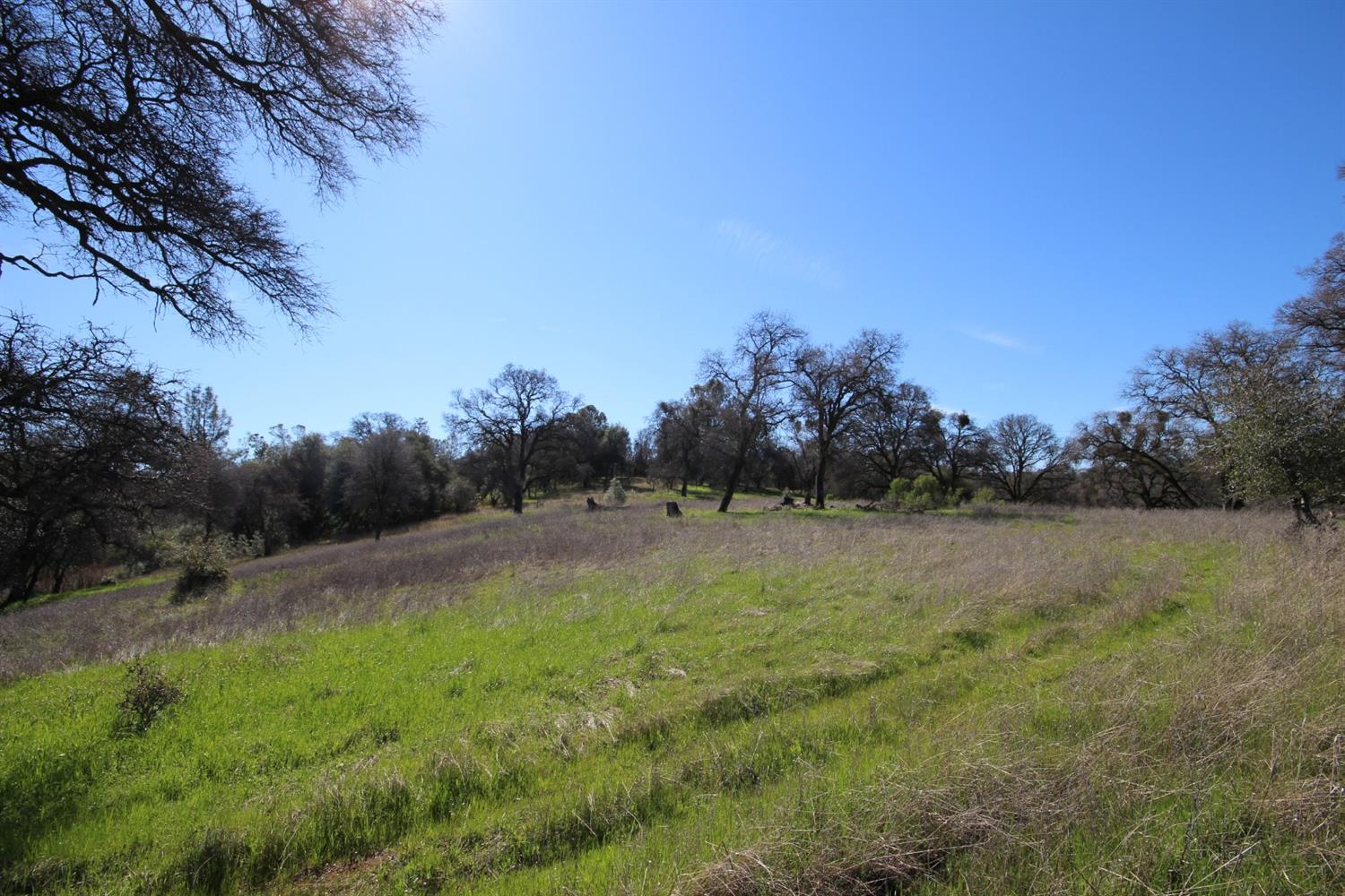 10650 Werner Road Auburn, CA 95603 - Photo 36 of 50 a view of an outdoor space and yard