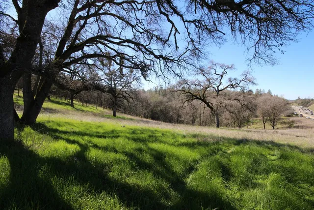 a view of backyard with green space