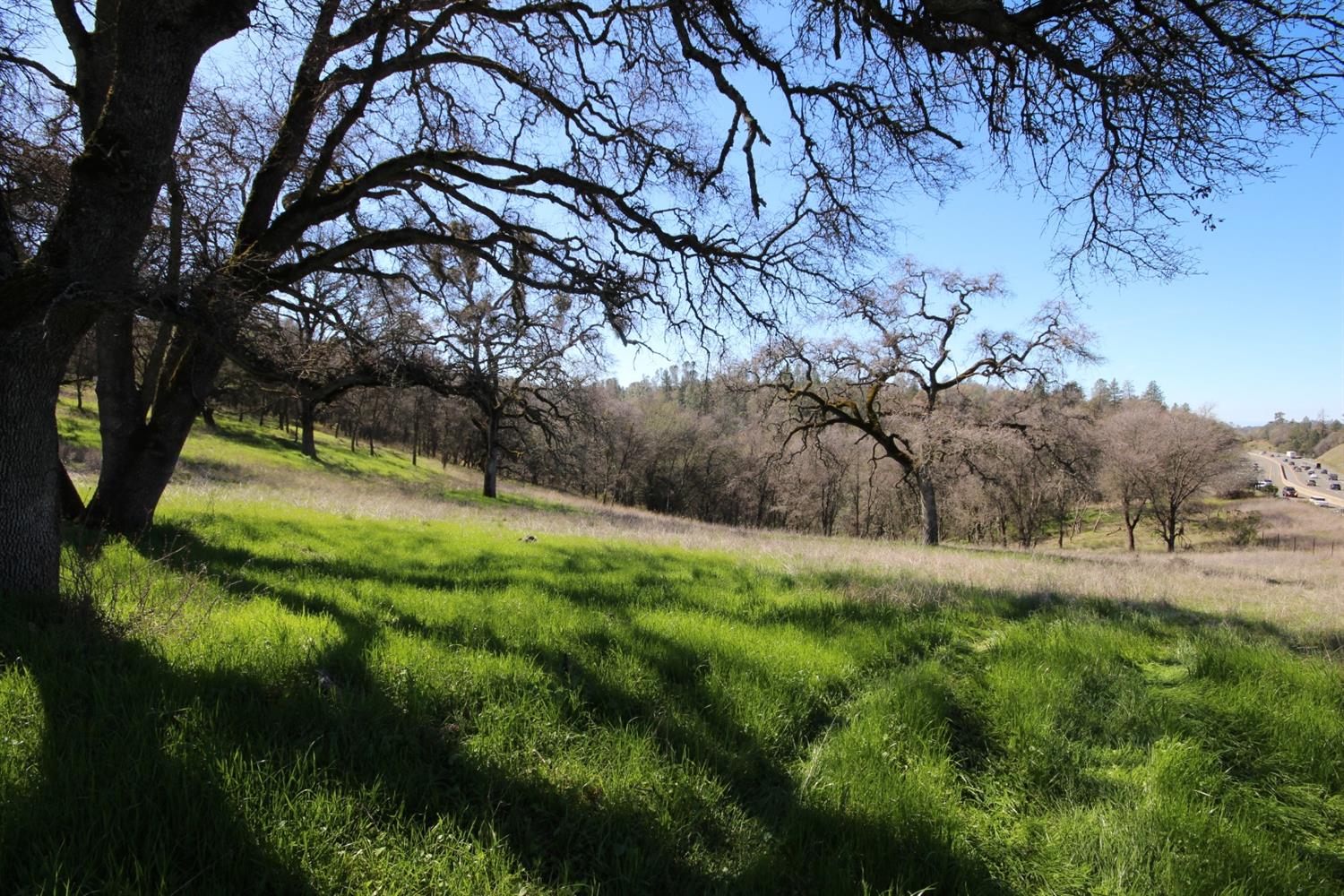 10650 Werner Road Auburn, CA 95603 - Photo 39 of 50 a backyard of a house with lots of green space