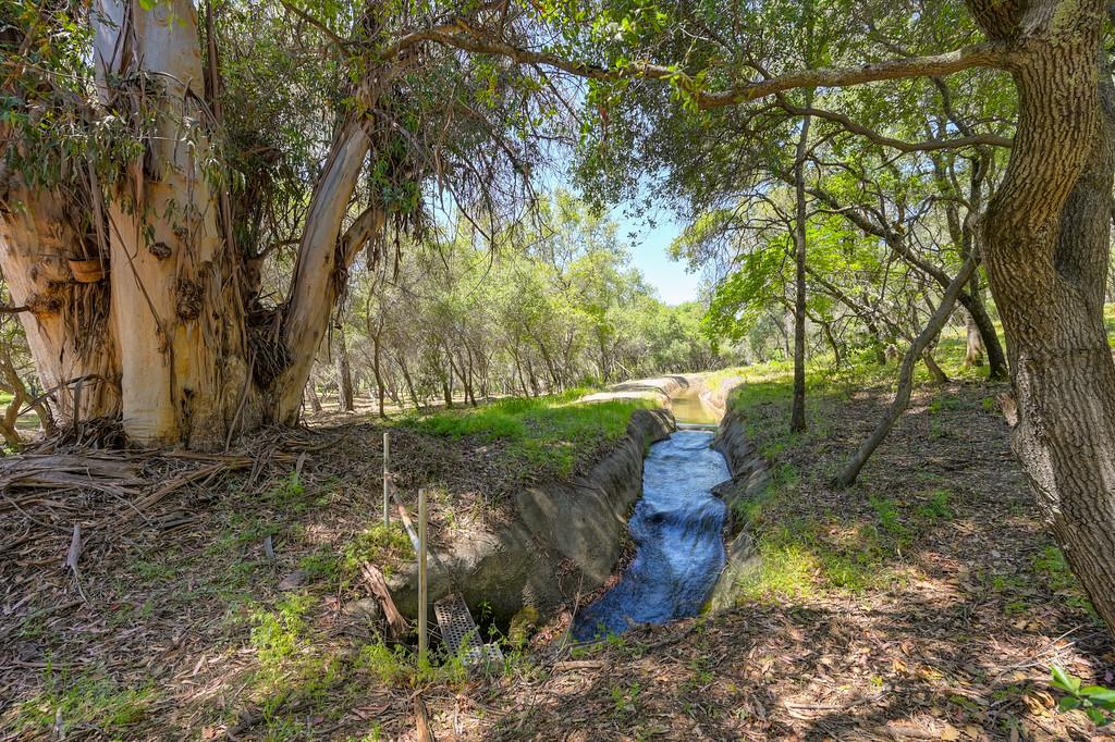 10650 Werner Road Auburn, CA 95603 - Photo 4 of 50 a backyard of a house with lots of green space