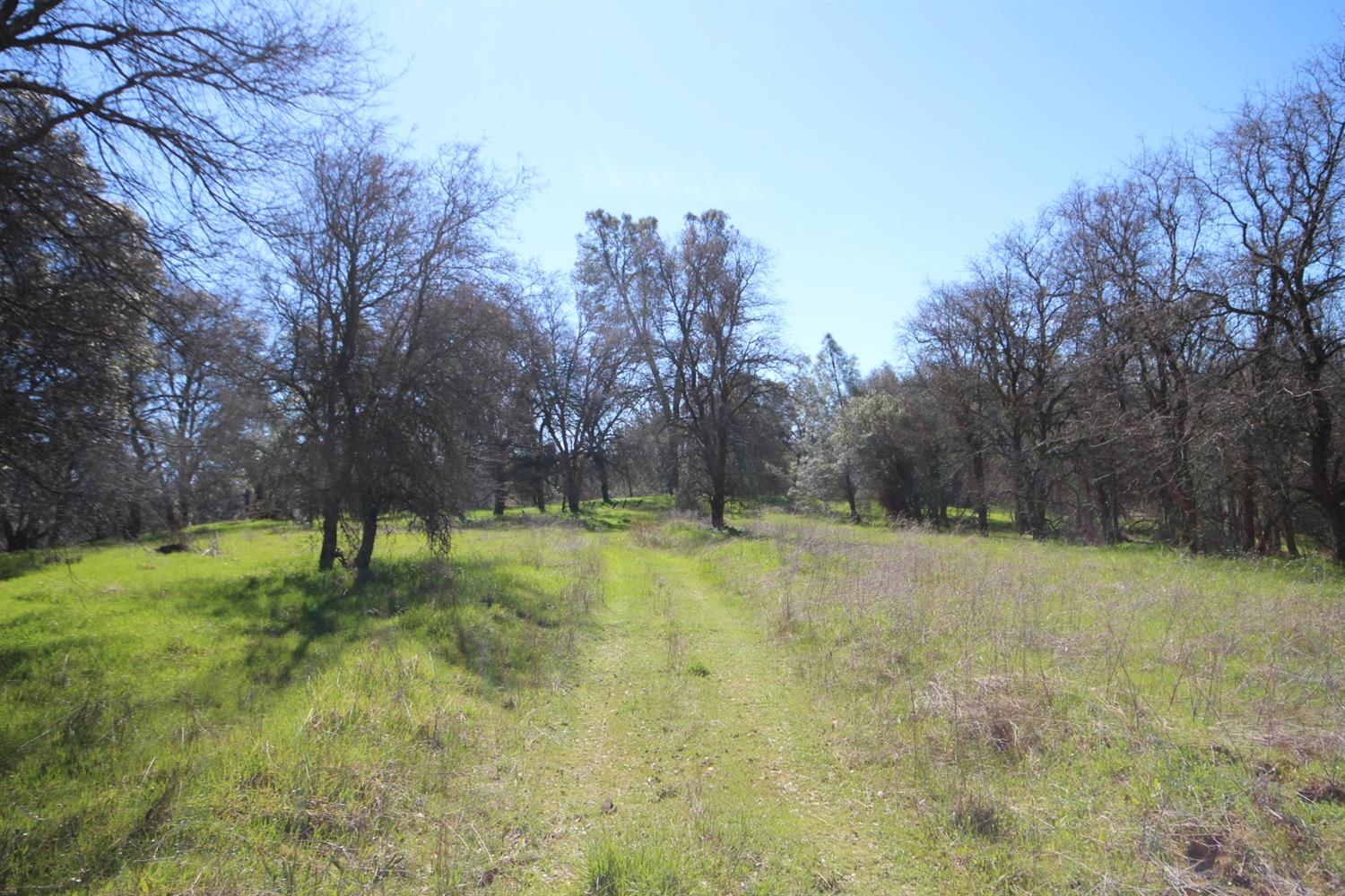 10650 Werner Road Auburn, CA 95603 - Photo 41 of 50 a view of backyard with green space