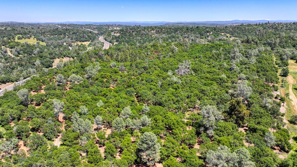 10650 Werner Road Auburn, CA 95603 - Photo 45 of 50 a view of a city with lush green forest