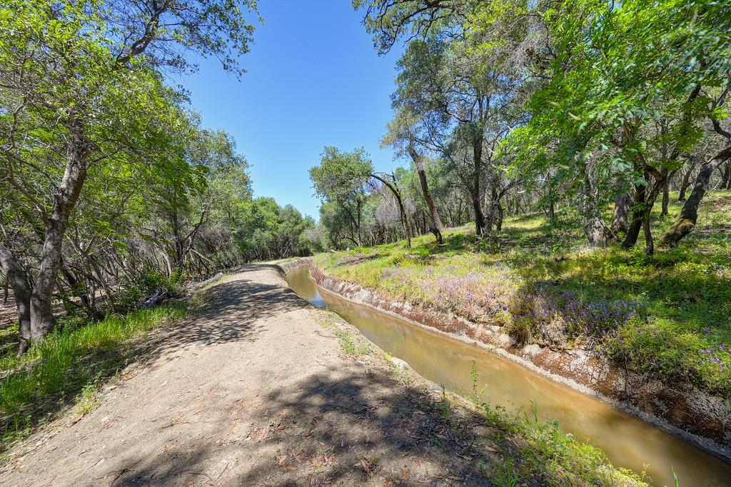 10650 Werner Road Auburn, CA 95603 - Photo 5 of 50 a view of a yard with plants and trees