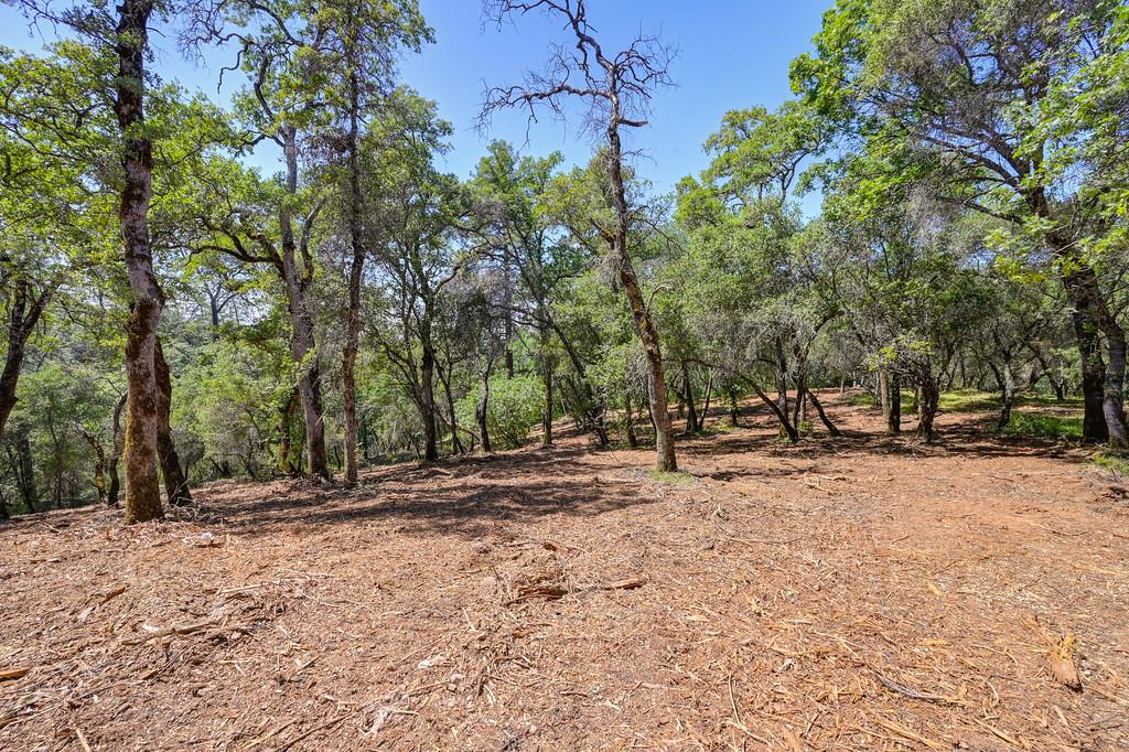 10650 Werner Road Auburn, CA 95603 - Photo 10 of 50 a view of outdoor space with trees