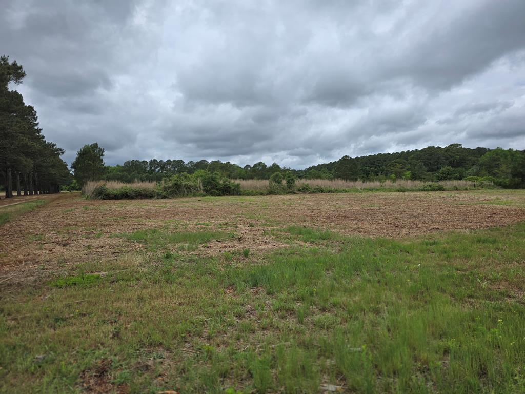 0 Bunting Point Road Melfa, VA 23410 - Photo 4 of 17