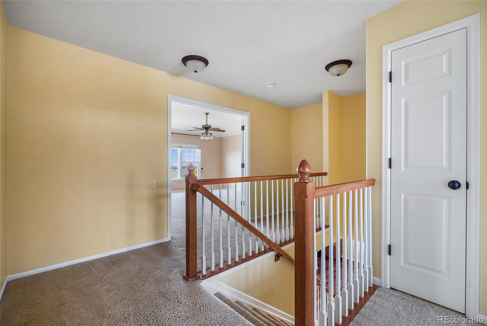 23149 Timber Spring Lane Parker, CO 80138 - Photo 19 of 49