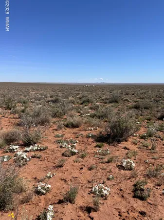 $25,000 | 5647 Kohl Road, Snowflake, AZ 85937