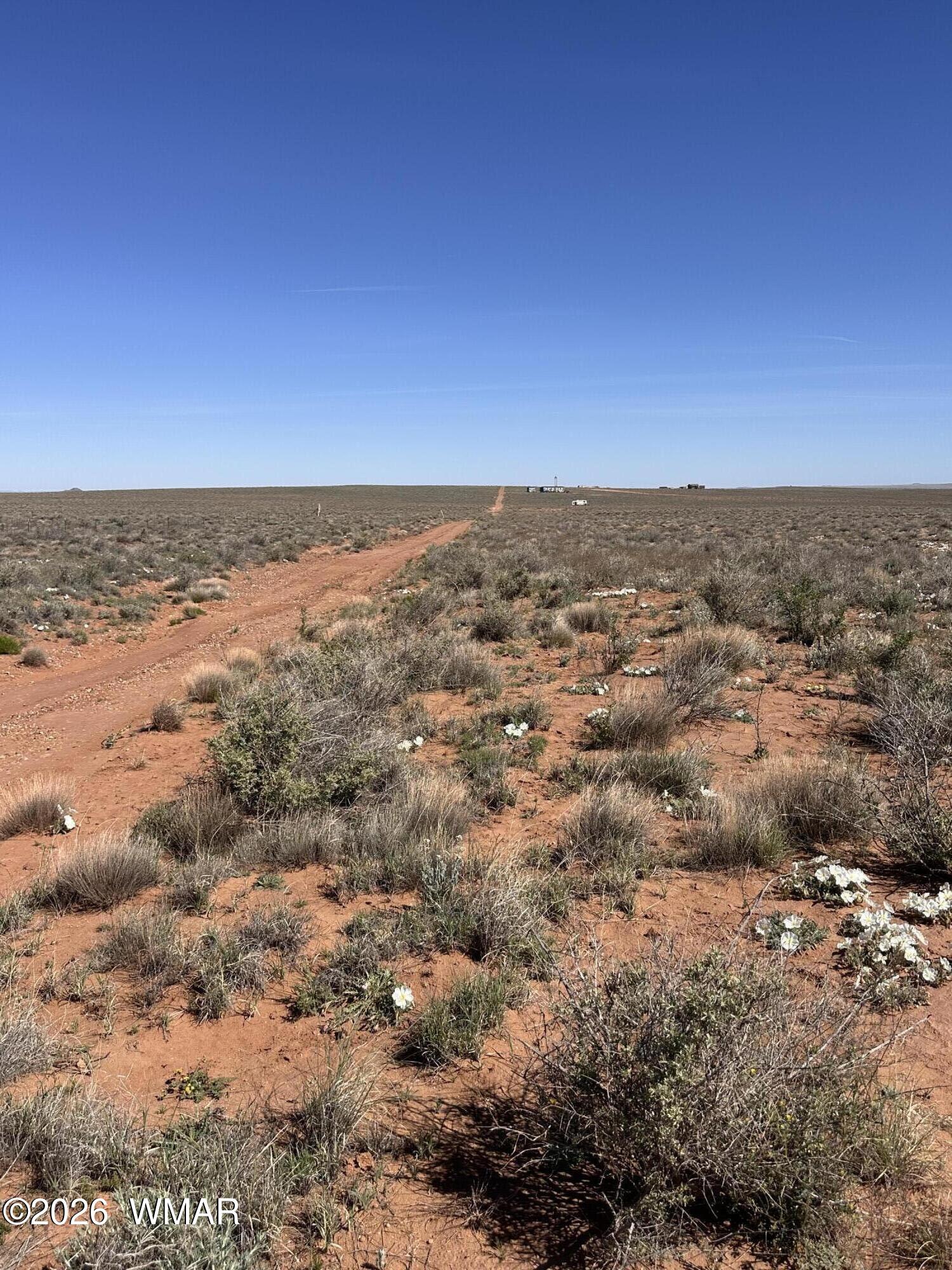 5647 Kohl Road Snowflake, AZ 85937 - Photo 5 of 5 Road going up beyond the property