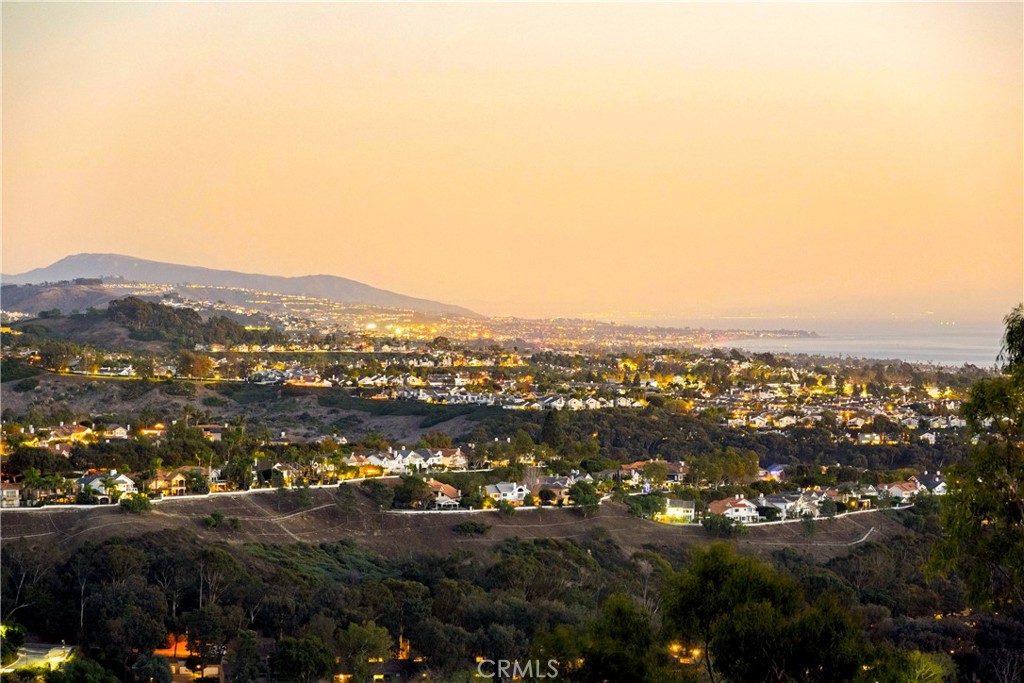 30786 La Mer Laguna Niguel, CA 92677 - Photo 38 of 40 an aerial view of residential house and green space
