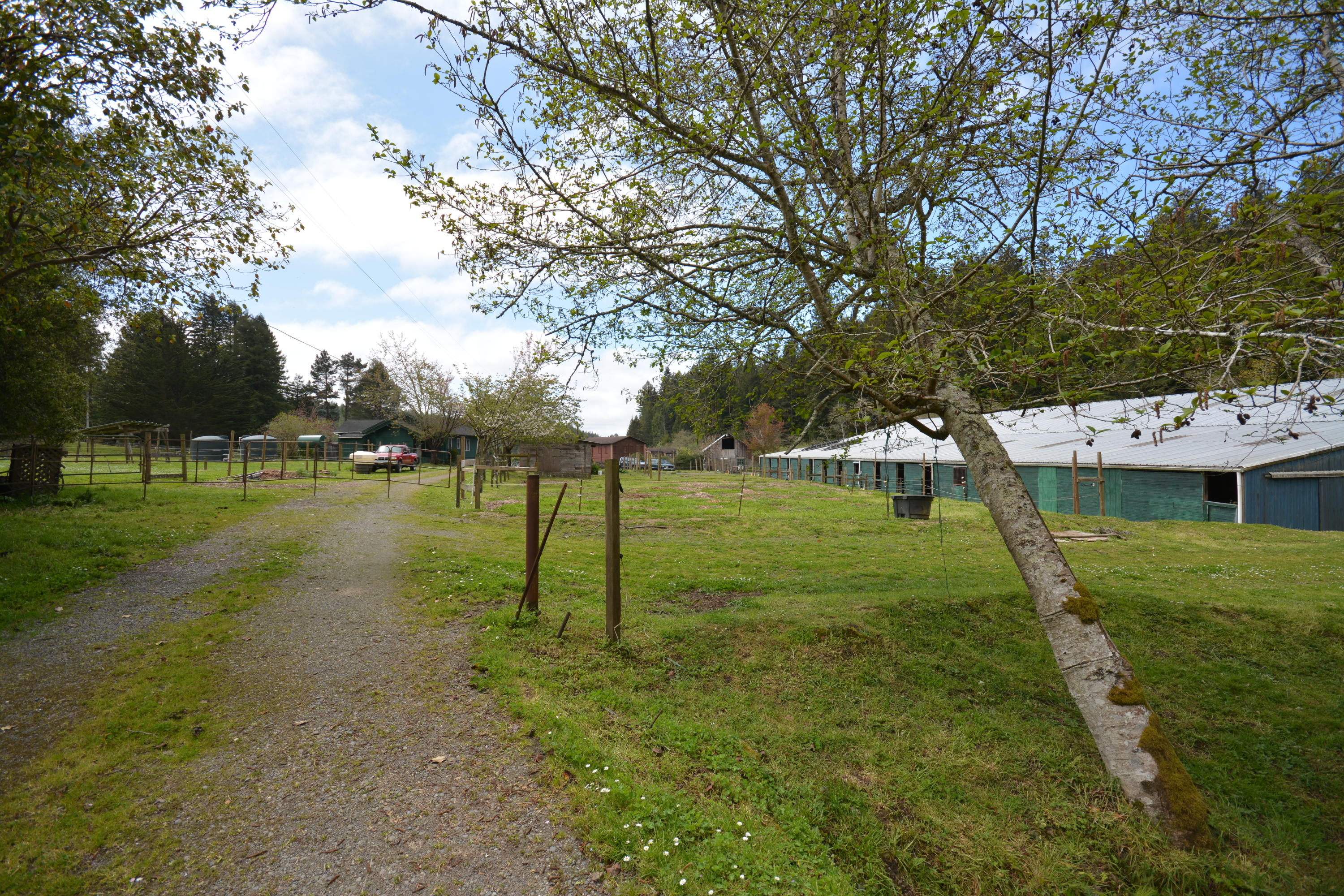835 Ole Hansen Road Eureka, CA 95503 - Photo 65 of 123