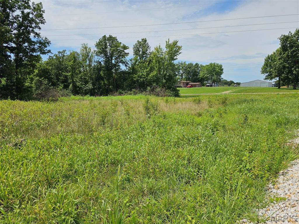 210 Hawkins Ridge Troy, MO 63379 - Photo 4 of 4