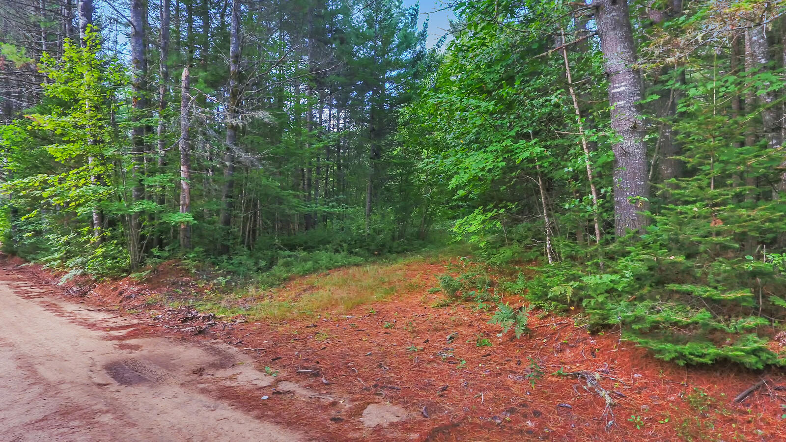 167 Harrison Road Oxford, ME 04270 - Photo 39 of 40 12_DJI_0003_copy_mls