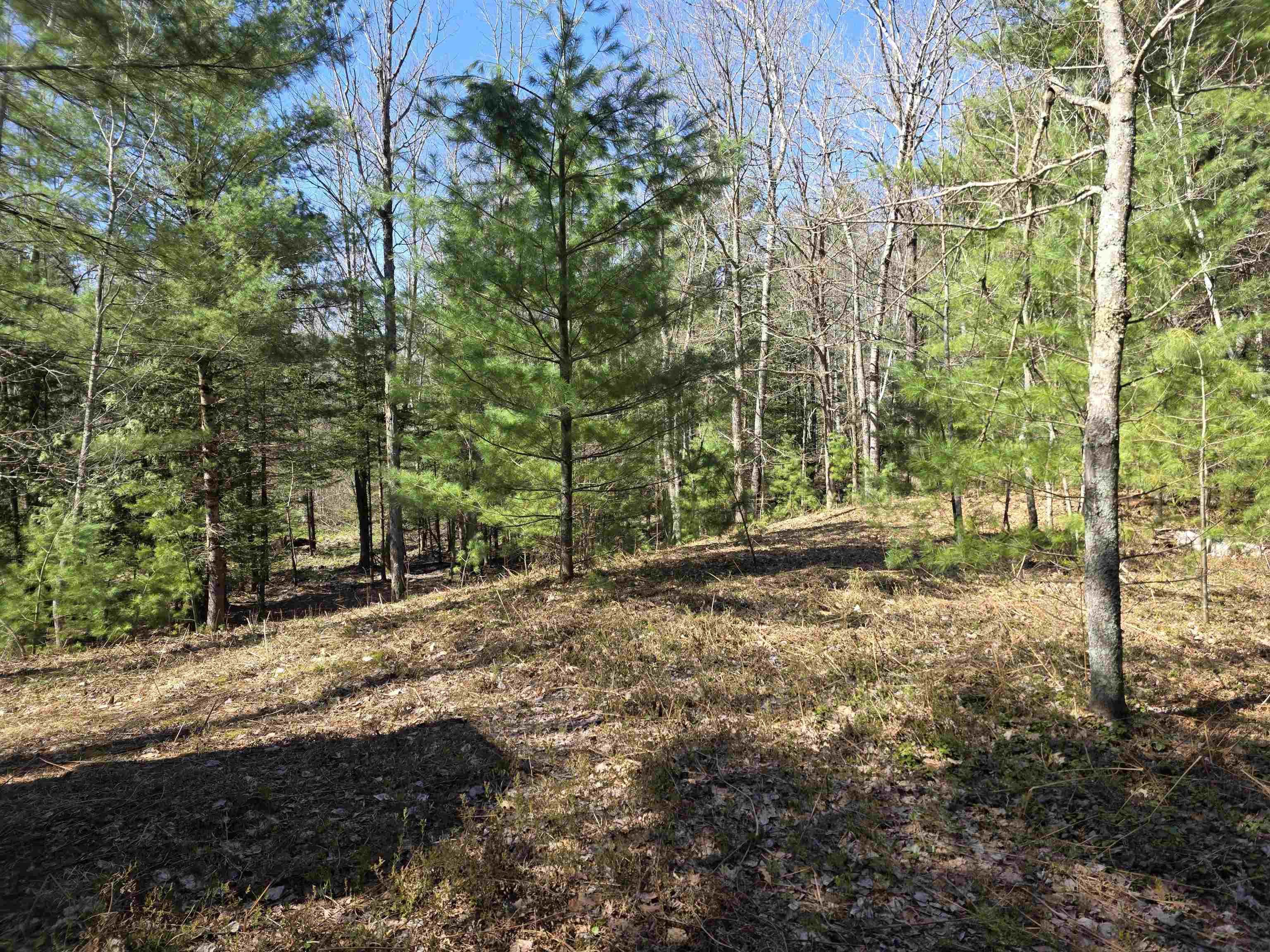 7299 North Truesdale Road Manton, MI 49663 - Photo 25 of 51