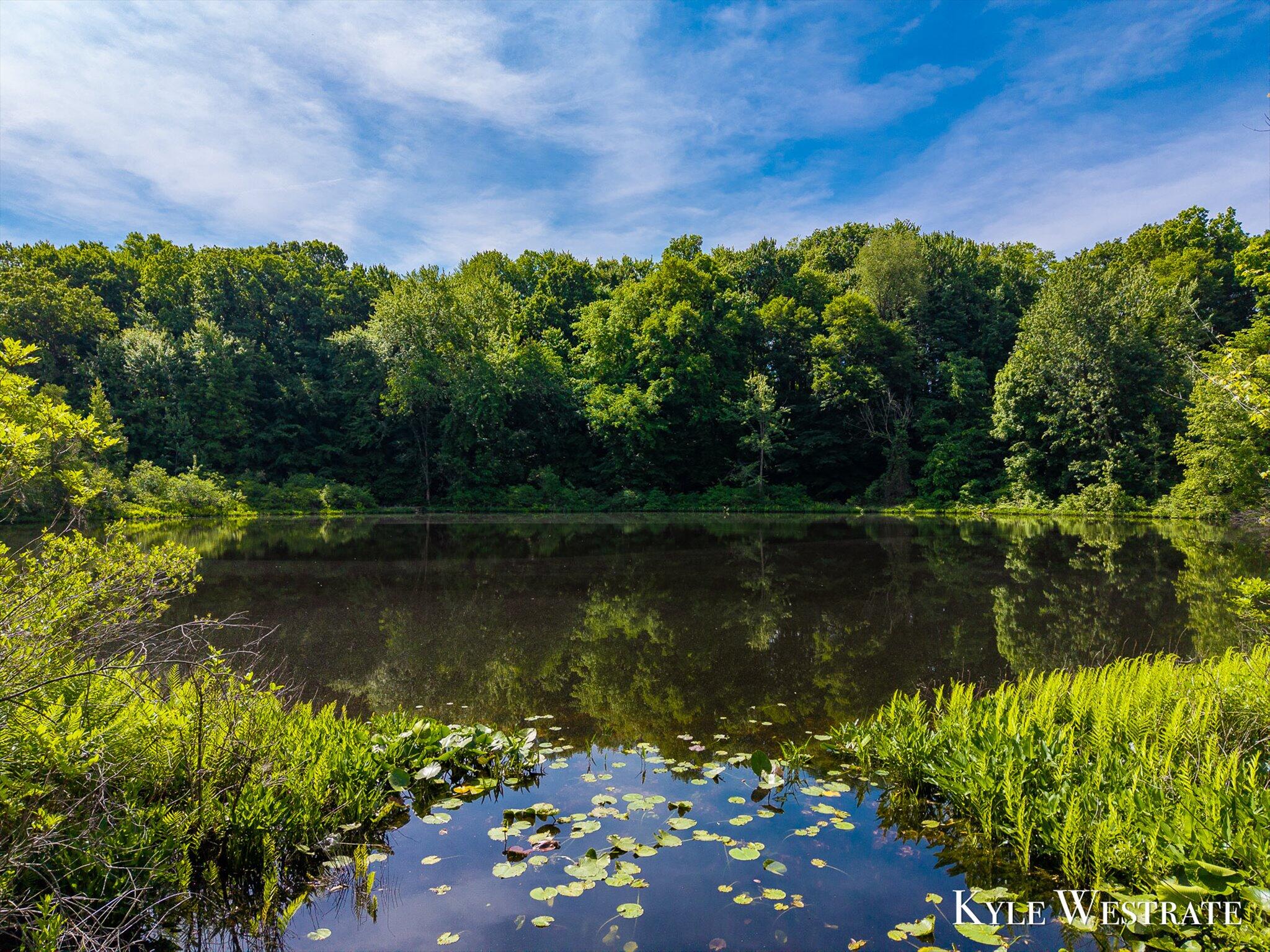 5505 Keller Road Delton, MI 49046 - Photo 29 of 30 03-DJI_20260604110850_0101_D_KYLE