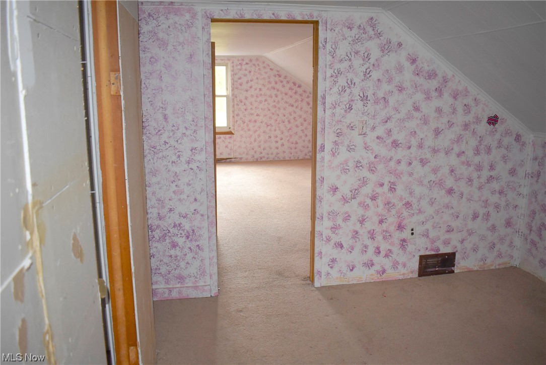 8718 Freedom Road Windham, OH 44288 - Photo 18 of 20 Bonus room featuring carpet floors and lofted ceiling
