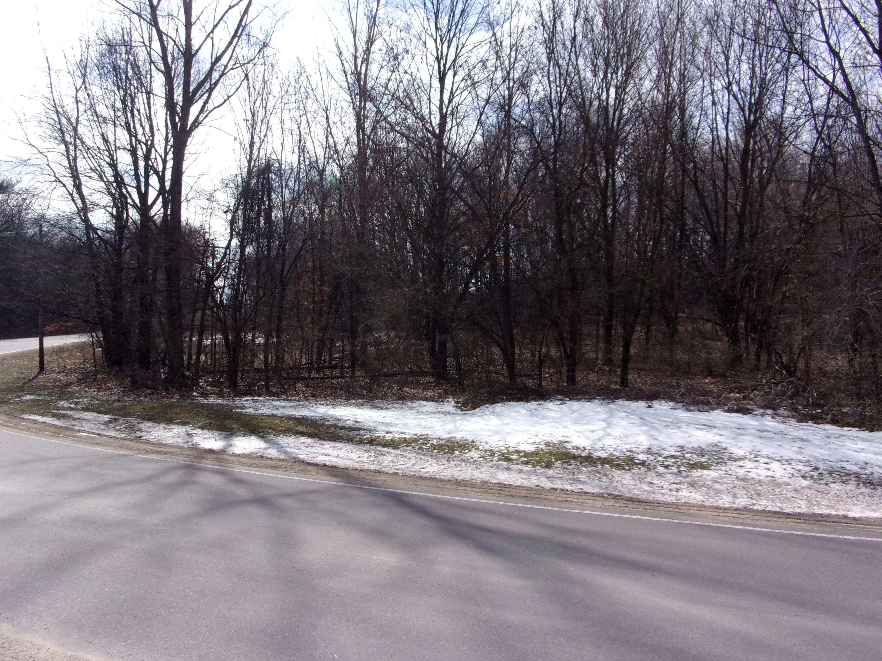 70560 Bauman Road Sturgis, MI 49091 - Photo 3 of 6 113_3769