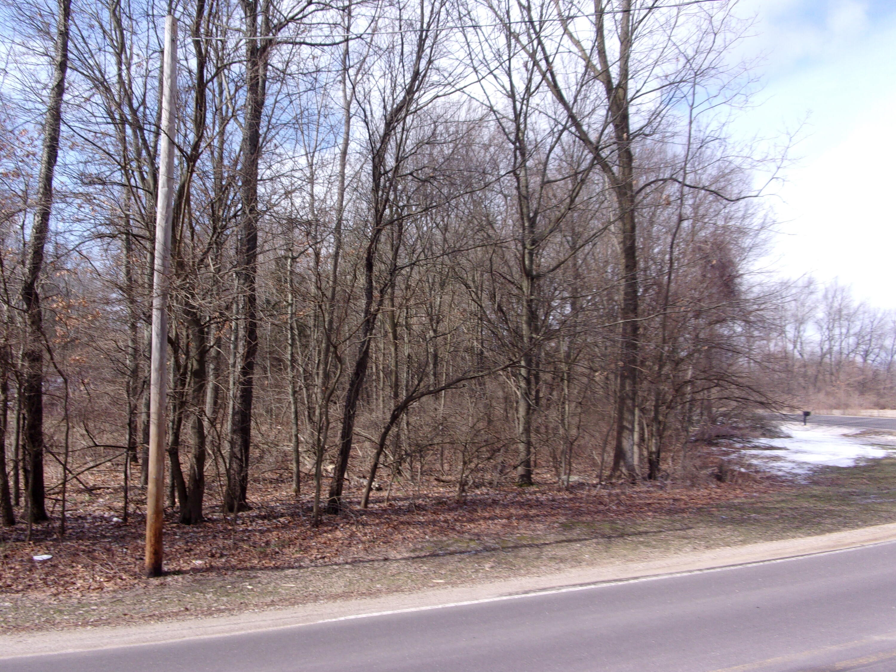 70560 Bauman Road Sturgis, MI 49091 - Photo 4 of 6 113_3770