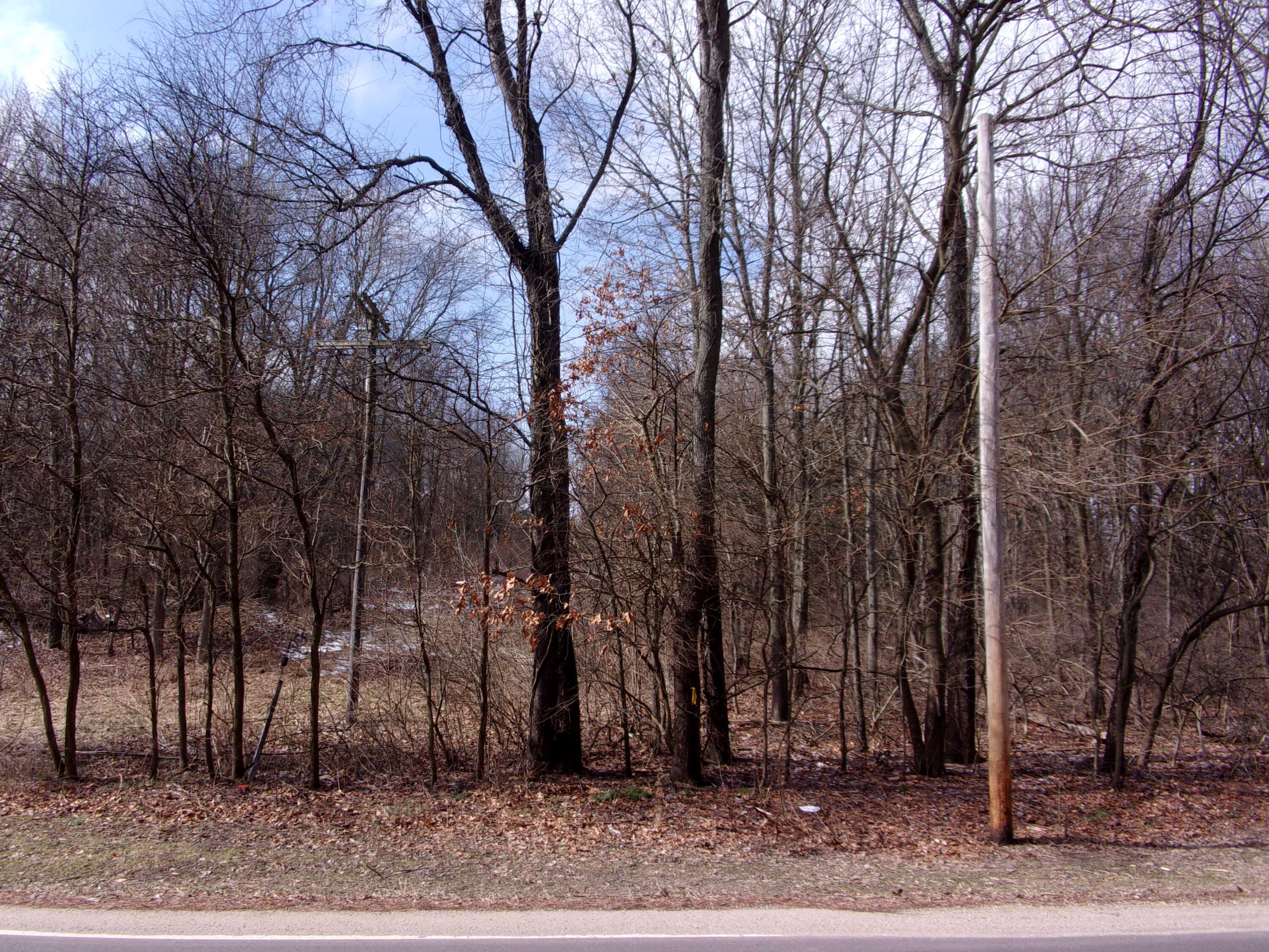 70560 Bauman Road Sturgis, MI 49091 - Photo 5 of 6 113_3773
