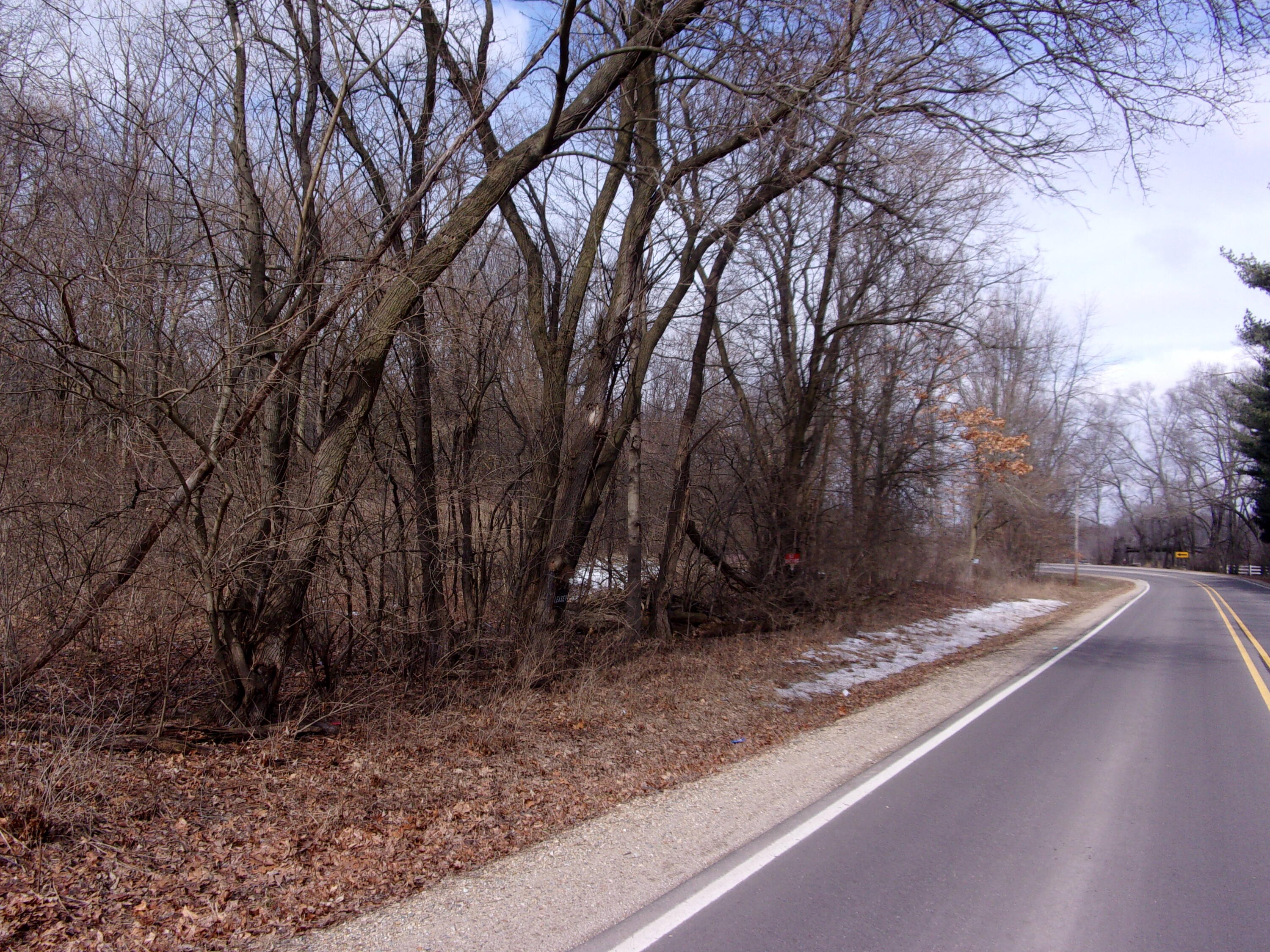 70560 Bauman Road Sturgis, MI 49091 - Photo 6 of 6 113_3775