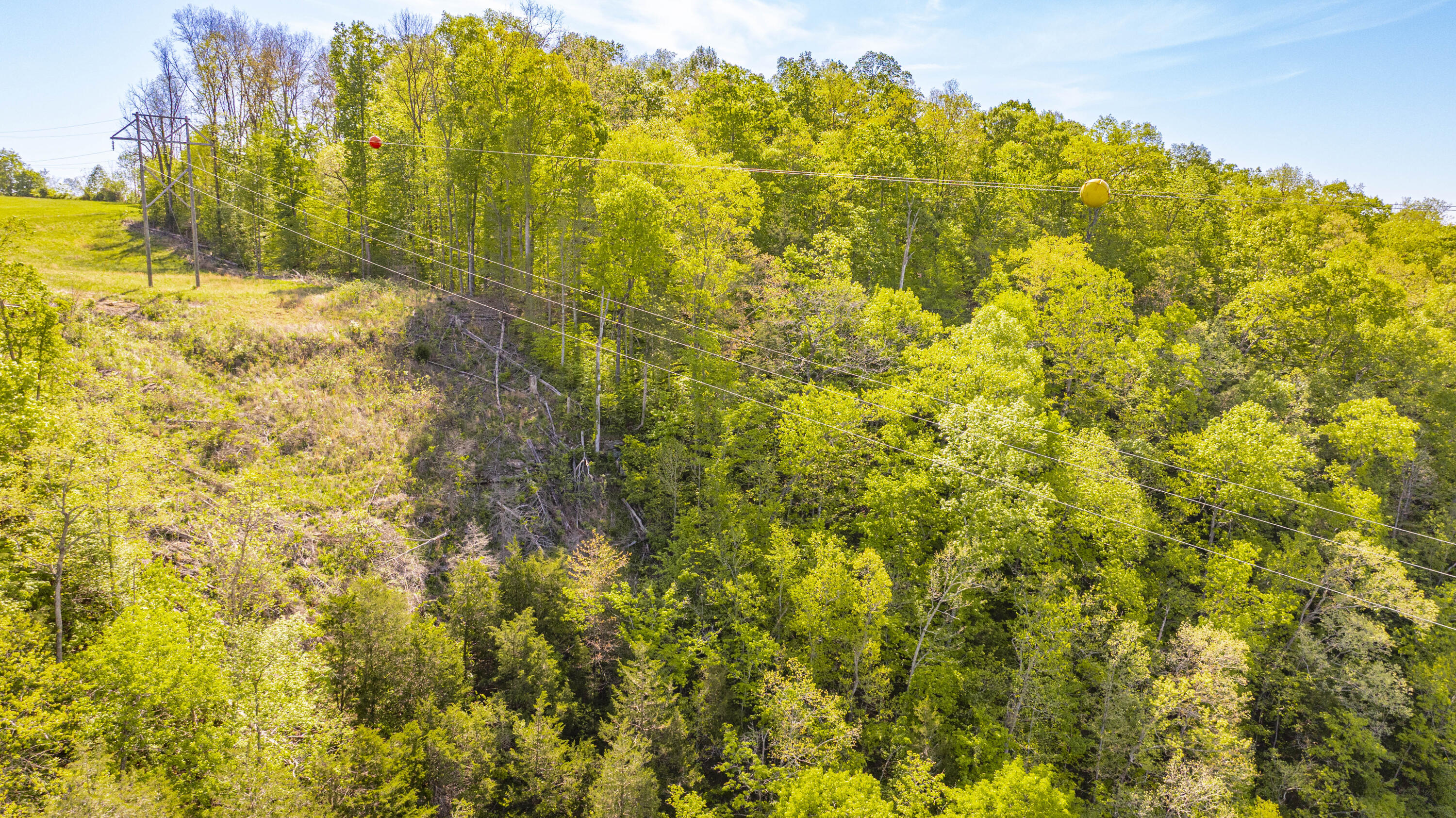1855 South Shepola Road Nancy, KY 42544 - Photo 35 of 48 1855 S Shepola rd-33
