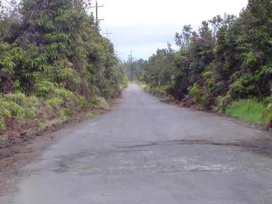 11-3220 Volcano Road Volcano, HI 96771 - Photo 2 of 8 a view of a dirt road with trees in the background