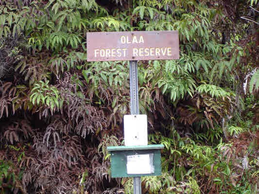 11-3220 Volcano Road Volcano, HI 96771 - Photo 8 of 8 a sign that is sitting in front of a building