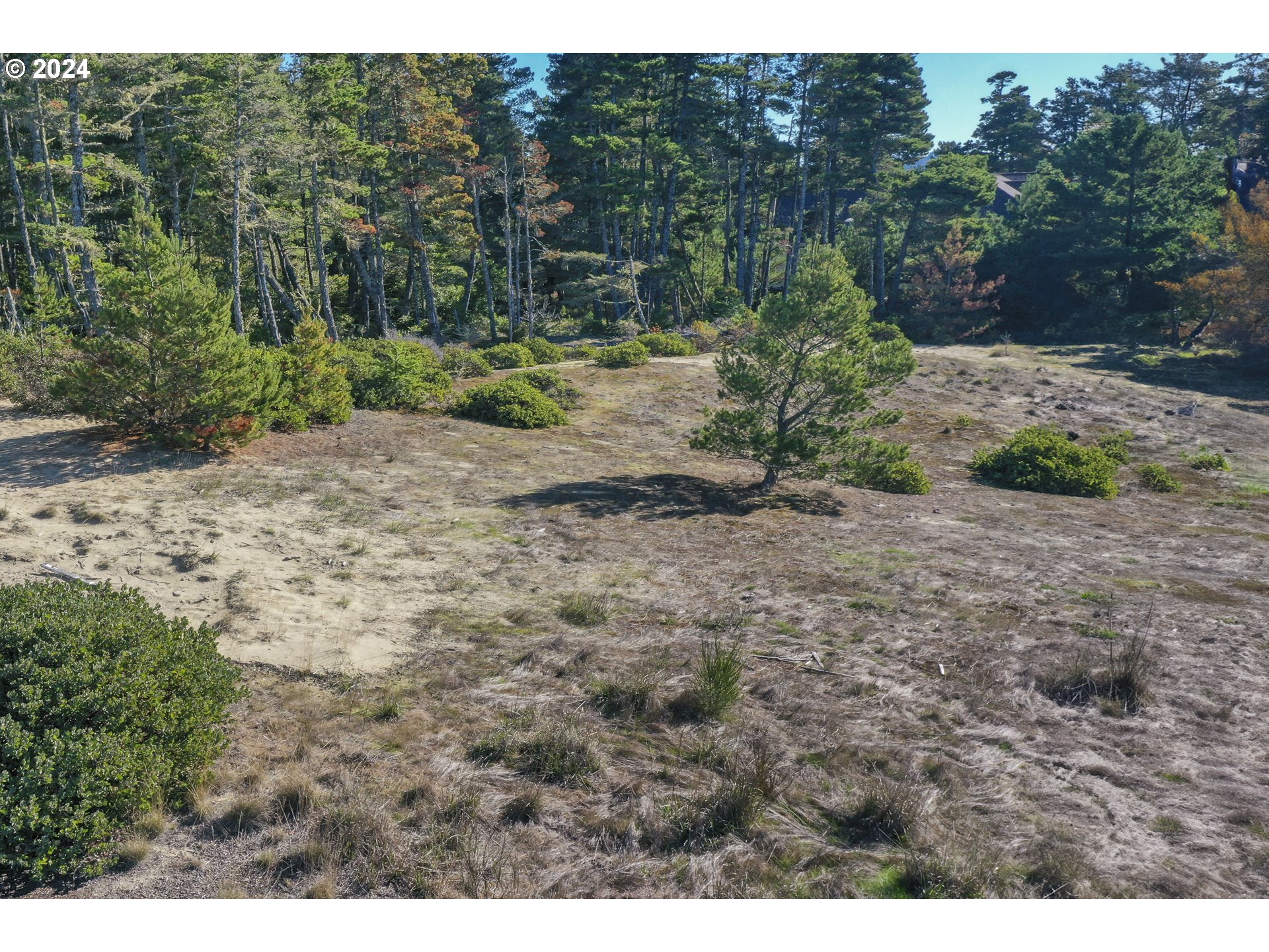 Lakepoint Drive, Unit 33 Florence, OR 97439 - Photo 3 of 9 a view of a dirt road with trees in the background