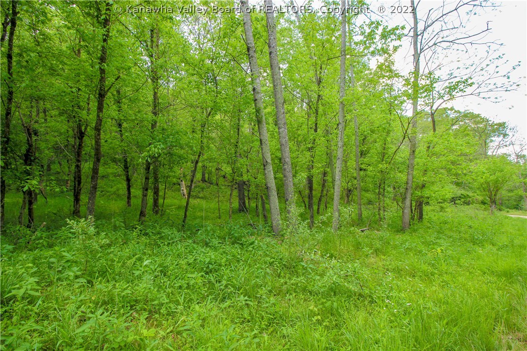 0 Arthur Road Liberty, WV 25124 - Photo 6 of 15 Gallery Image 6