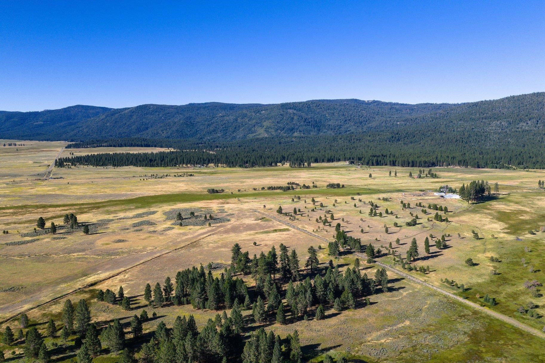22440 Highway 89 Calpine, CA 96124 - Photo 26 of 27