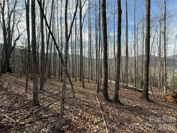 a view of wooden fence with trees in the background