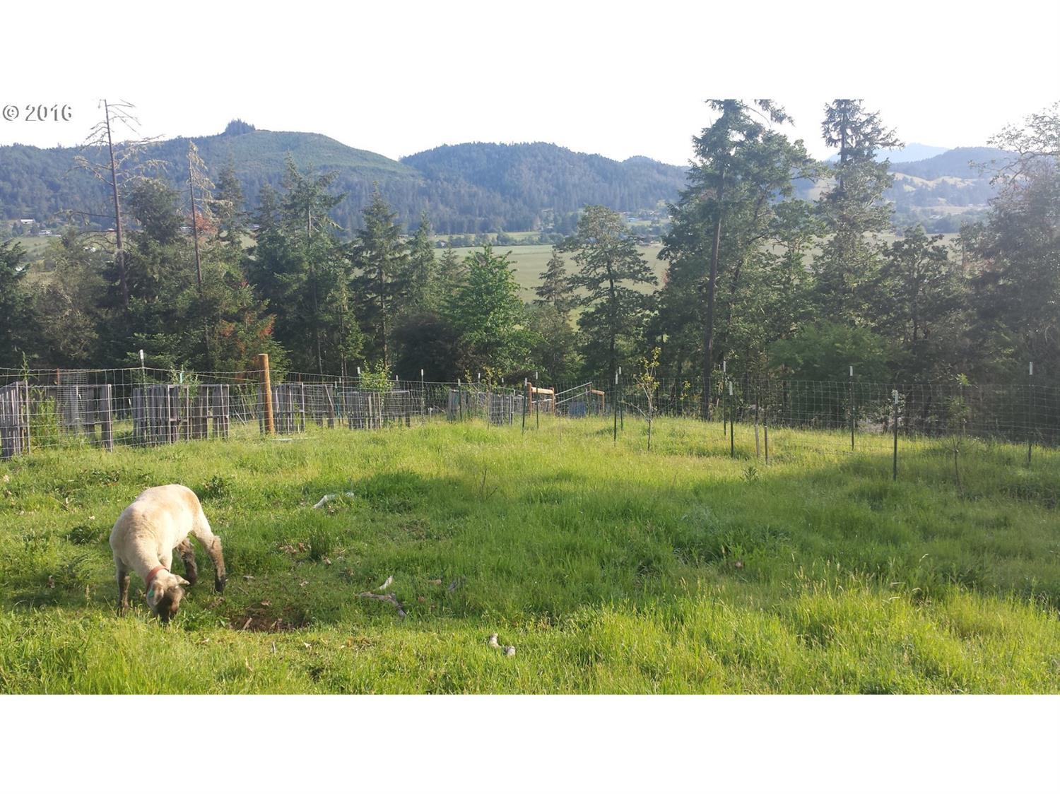 116 Cooper Creek Road Sutherlin, OR 97479 - Photo 24 of 32 Additional Photo