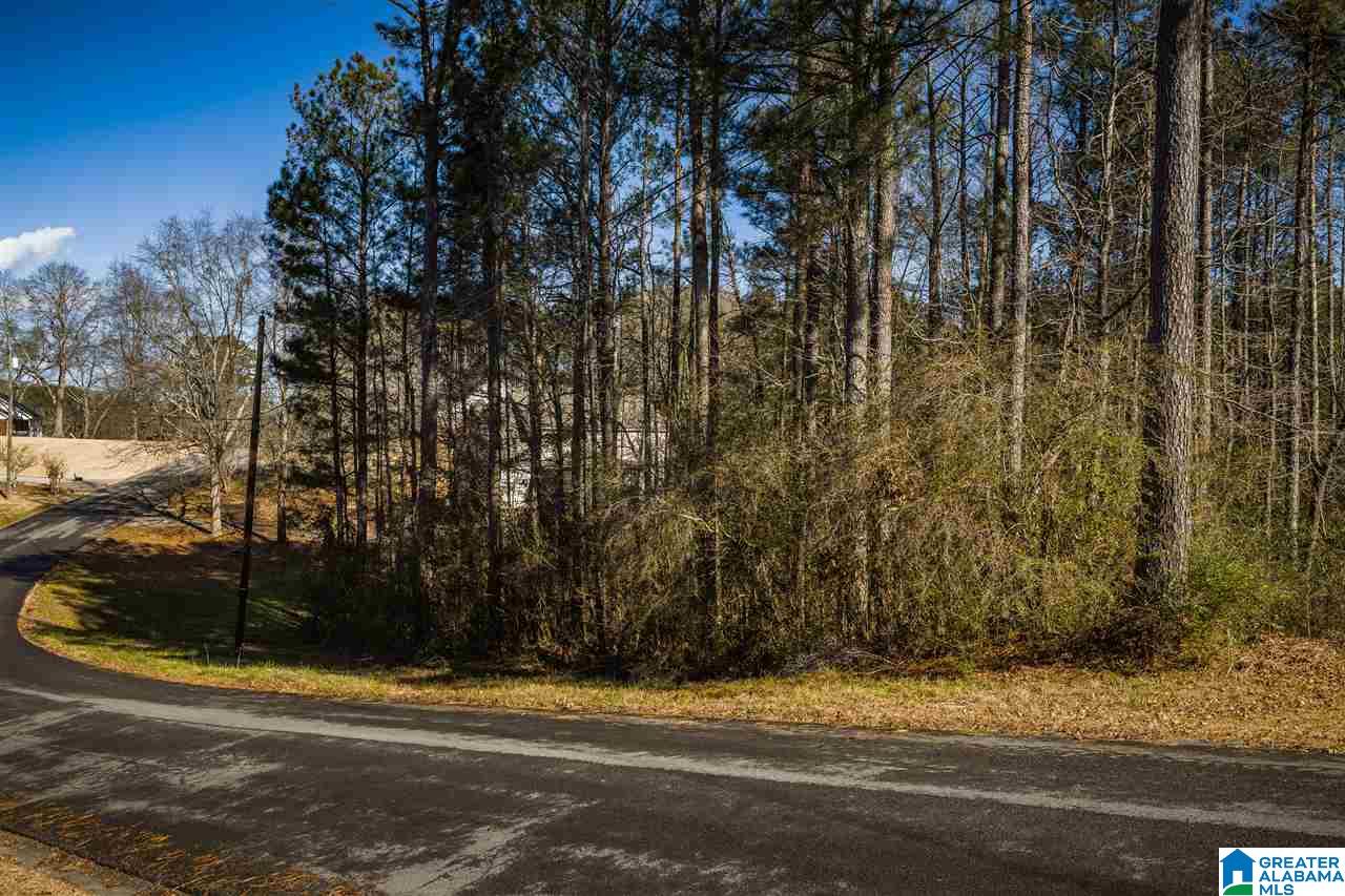 0 Scenic Trail, Unit 1 Oneonta, AL 35121 - Photo 5 of 18