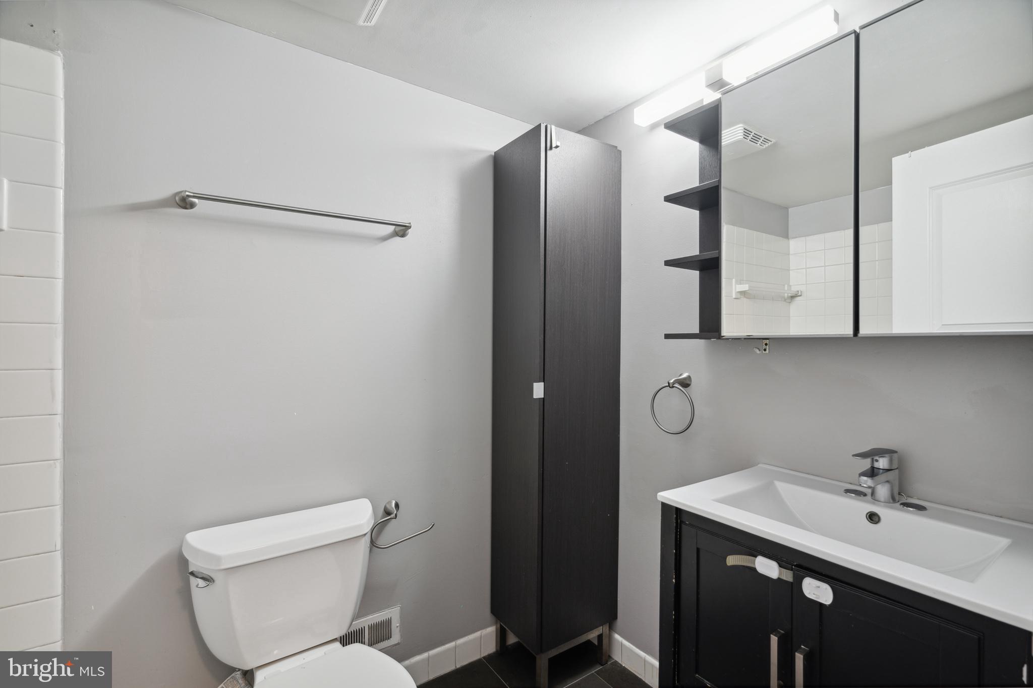 3 Hamilton Circle Philadelphia, PA 19130 - Photo 30 of 41 Lots of storage space in the guest bathroom.