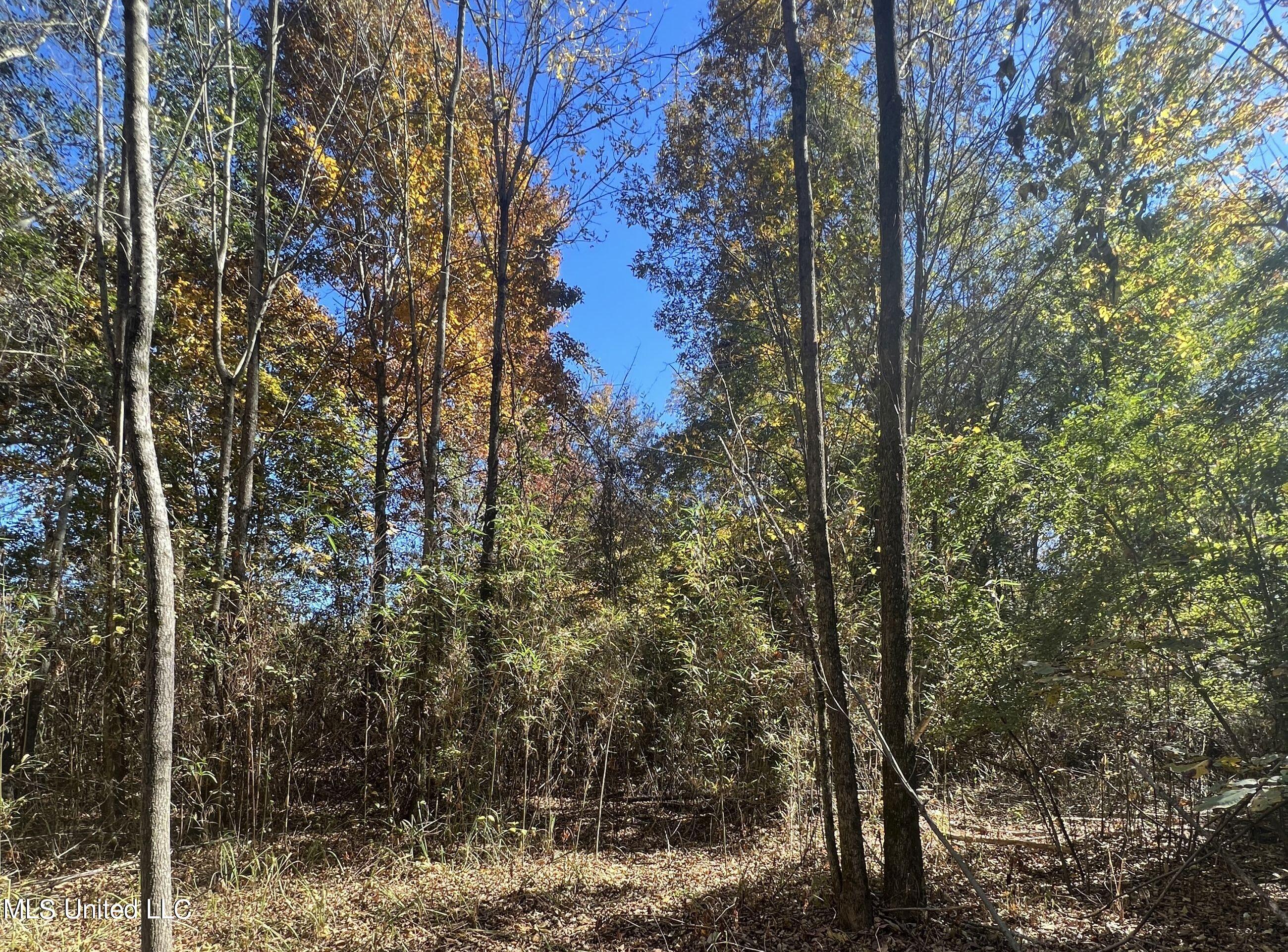 5151 Nash Road Batesville, MS 38606 - Photo 50 of 75 3irvi44