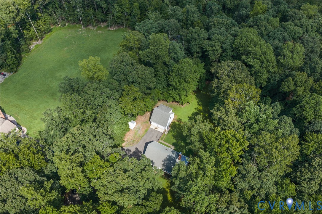 10478 Gould Hill Road Hanover, VA 23069 - Photo 60 of 63 Extensive tree coverage surrounding the property.